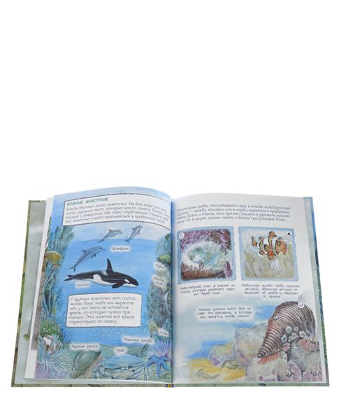 Кто где живет? - Ренне