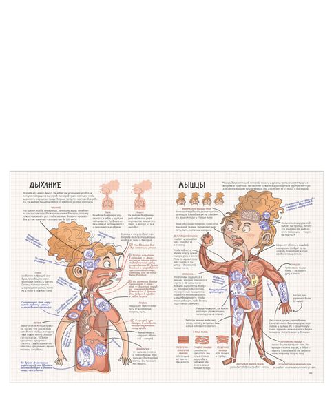 Как устроено тело - Кухарска Н., Кончак И, Пентка К.