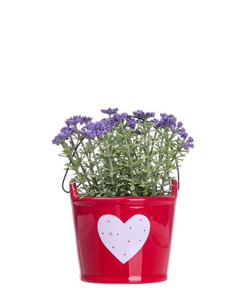 Купить Декоративный цветок в горшочке Flowers&Garden (12 см)