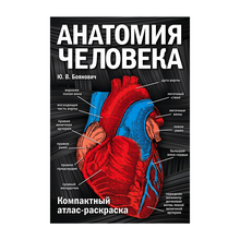 Анатомия человека: компактный атлас-раскраска xarid qilish