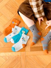 Купить Комплект носков No brand 5 шт