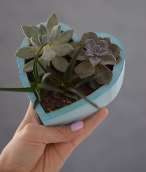 Кашпо Heart Minimalismo