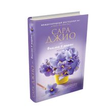 Купить Фиалки в марте