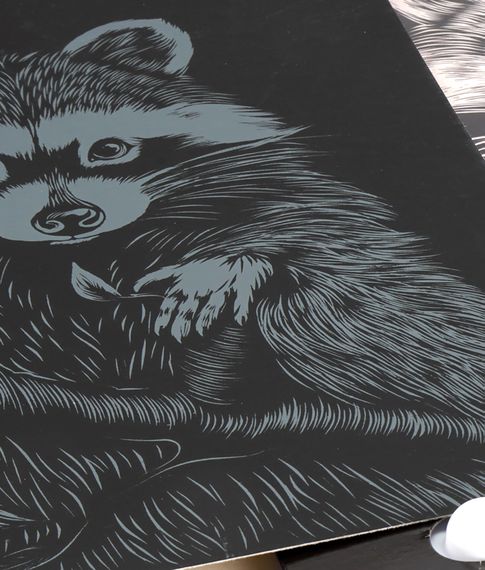Гравюра Классика большая с эффектом серебра "Пушистый енот"