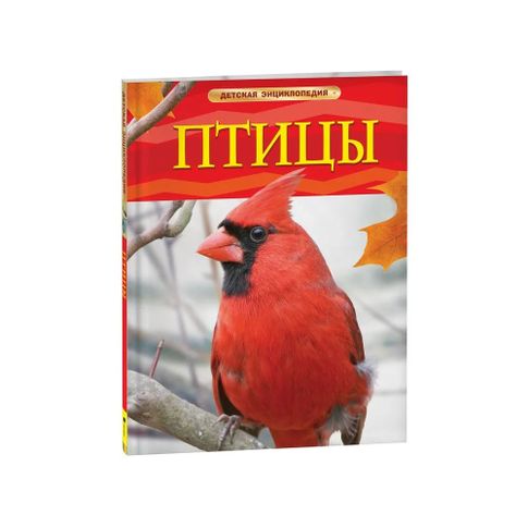 Купить Птицы. Детская энциклопедия