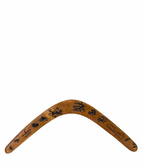 Бумеранг UzBoomerang